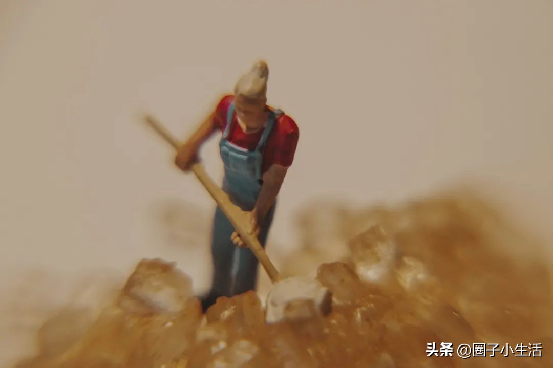 肯高增距镜质量咋样,肯高近摄接环