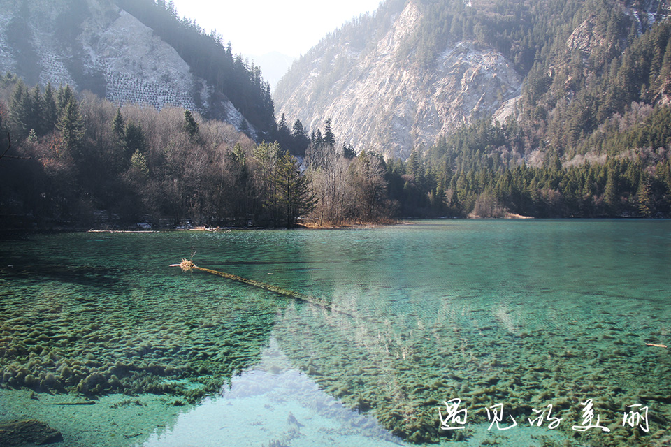 如果一生只去一个古城,一生去一次九寨沟
