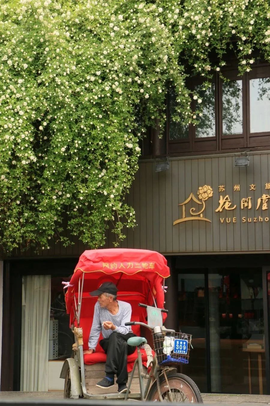 在苏州体验24小时生活,苏州沉浸式听戏