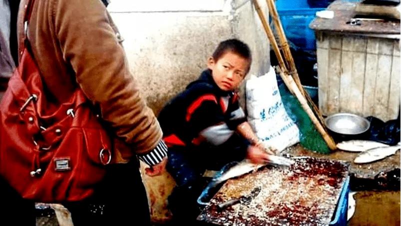 9岁爆火全网的“杀鱼弟”近况曝光：穷人家的孩子，活着有多难？