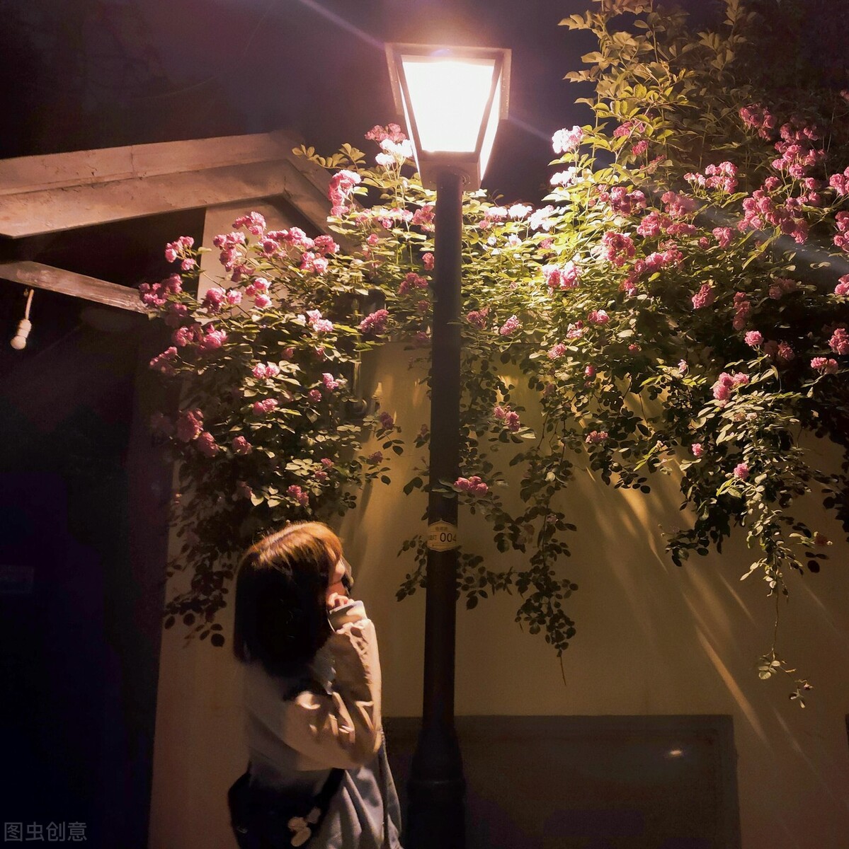 手机壁纸幸福像花儿一样图案,手机壁纸花的唯美