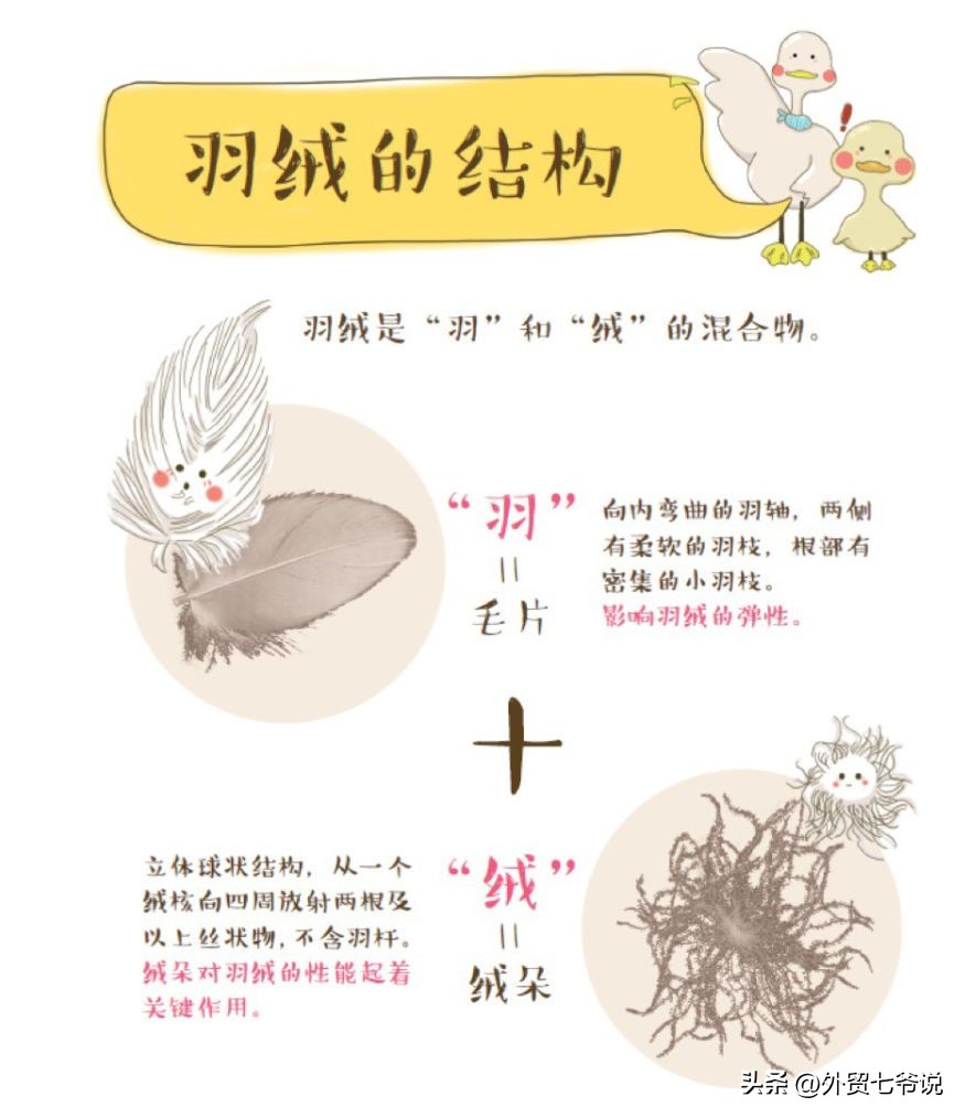 不同温度如何选择羽绒服,是鹅绒羽绒服好还是鸭绒羽绒服好