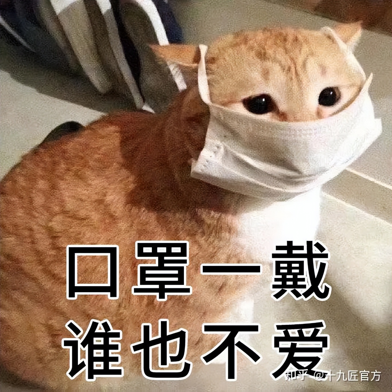 线条眉雾眉和丝雾眉的价格,眉毛厚适合雨雾眉和丝雾眉哪个好