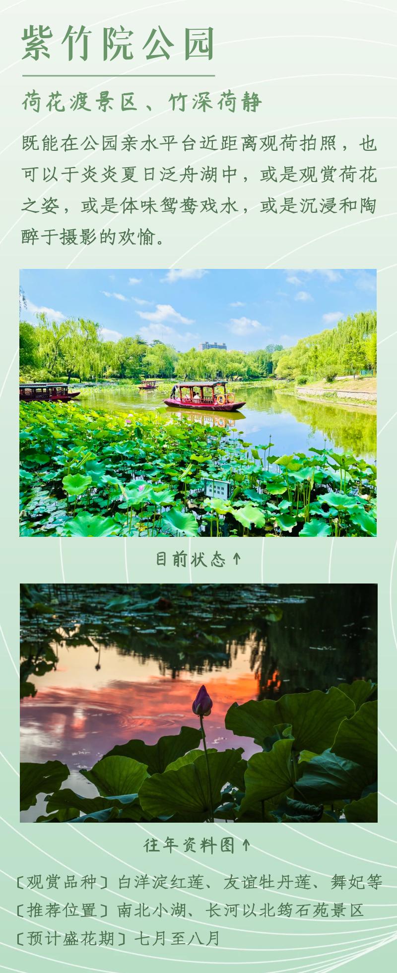 北京赏荷花最佳地点,北京赏荷花的公园