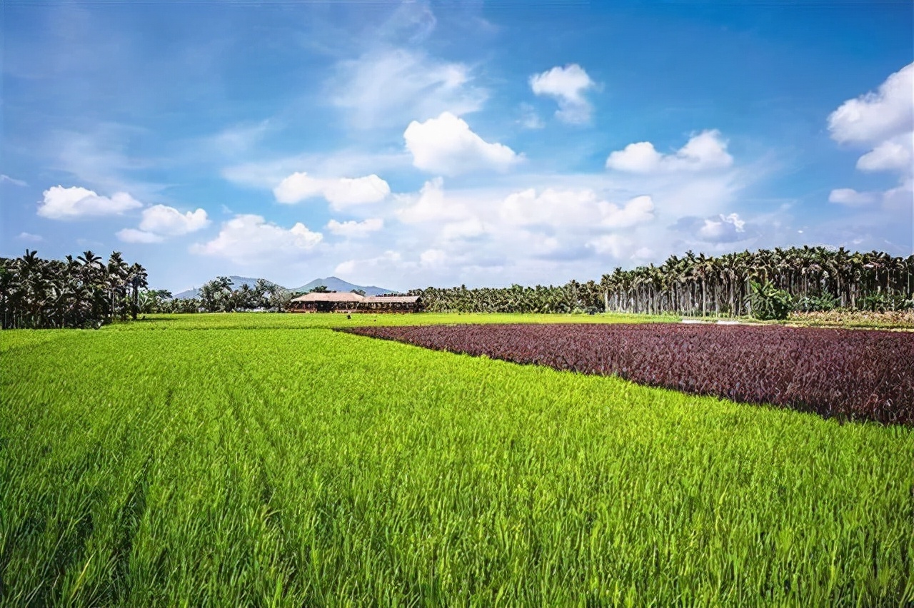 鍩哄洜缁勫伐鍏风,妞嶇墿鍩哄洜缁勫伐鍏风