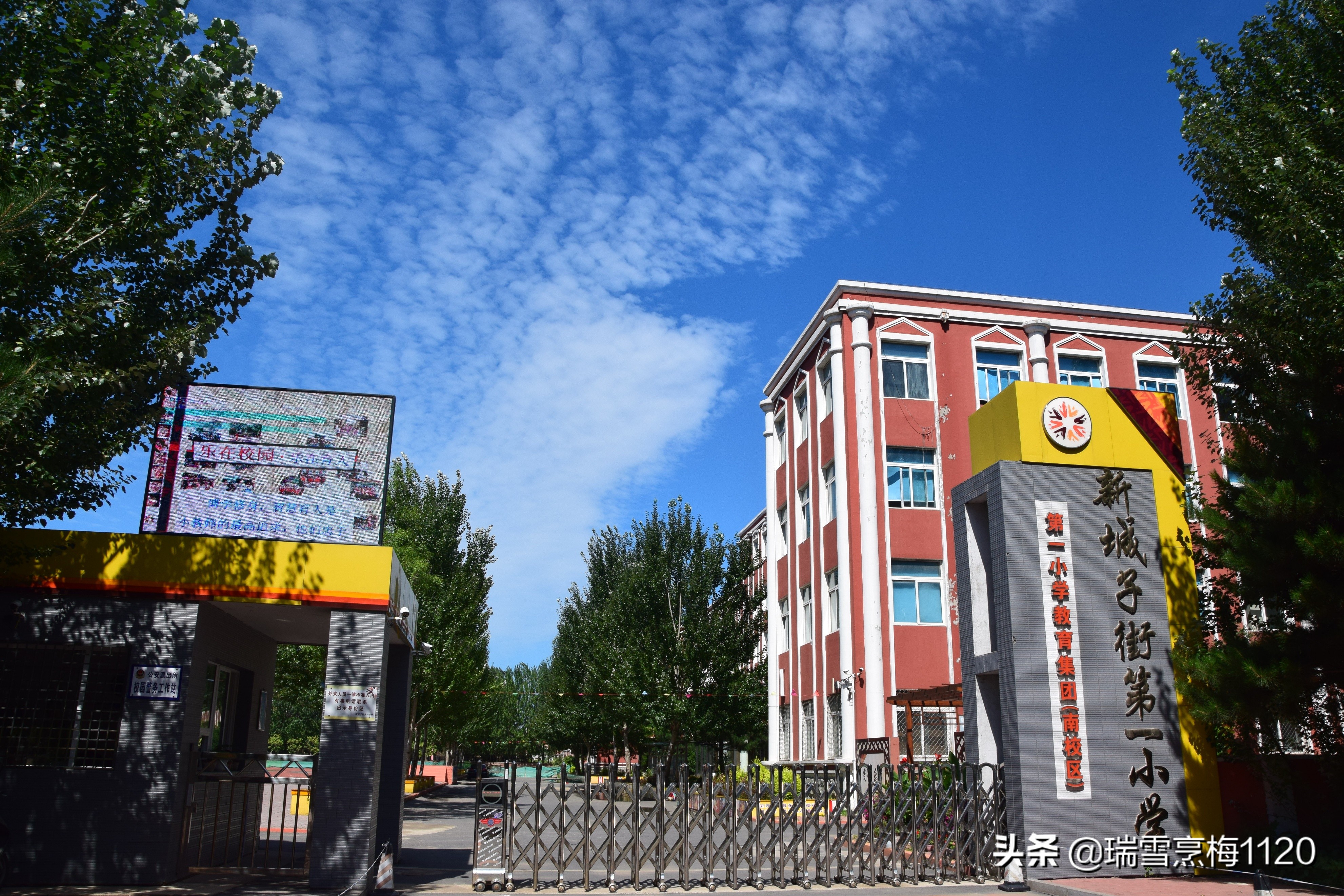 沈阳市沈北新区蒲松路小学招生,沈北新区小学入学通知片区划分