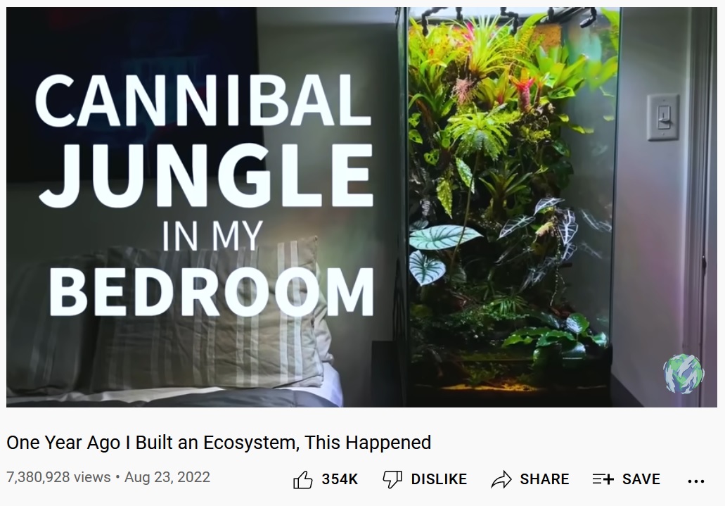 美国小哥在卧室建出一缸热带雨林，食物链环环相扣，太强了