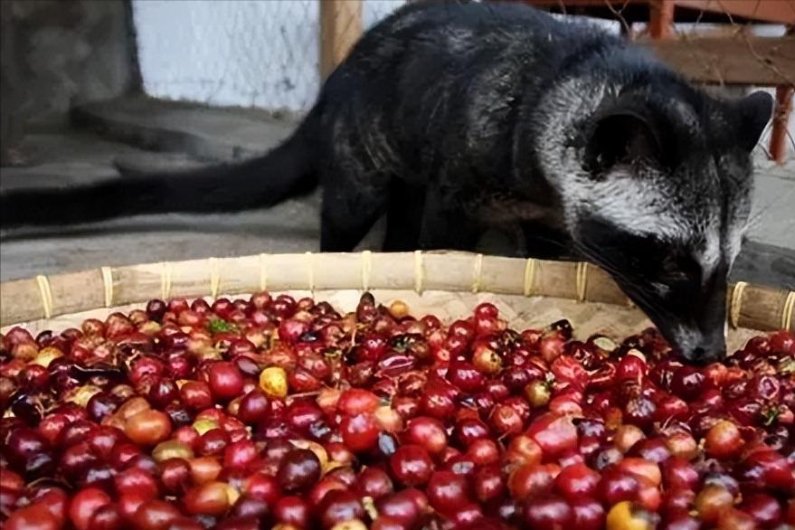 穷人世界你不懂,富人的世界你不懂