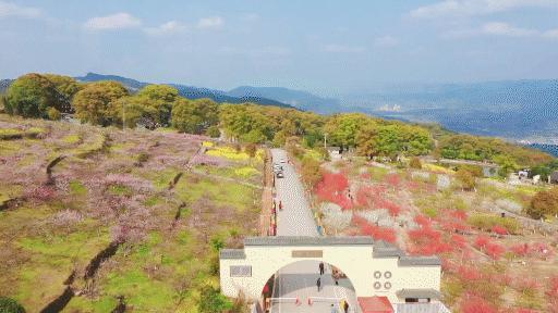 公布五一假期交通安全出行指引,五一出行请牢记交通规则