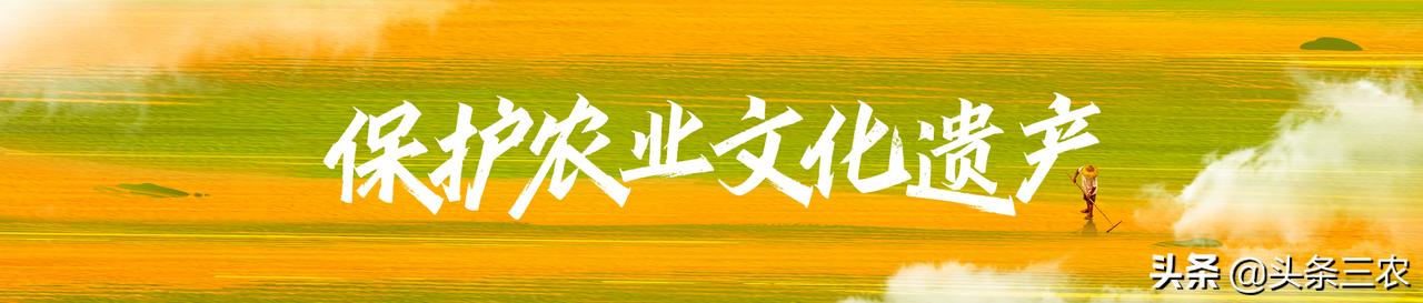 GIAHS（中国）20周年庆祝活动标识和保护农业文化遗产有奖活动