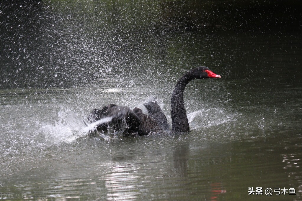 上班族转行做自媒体怎么办,记住最好别放弃工作来做自媒体