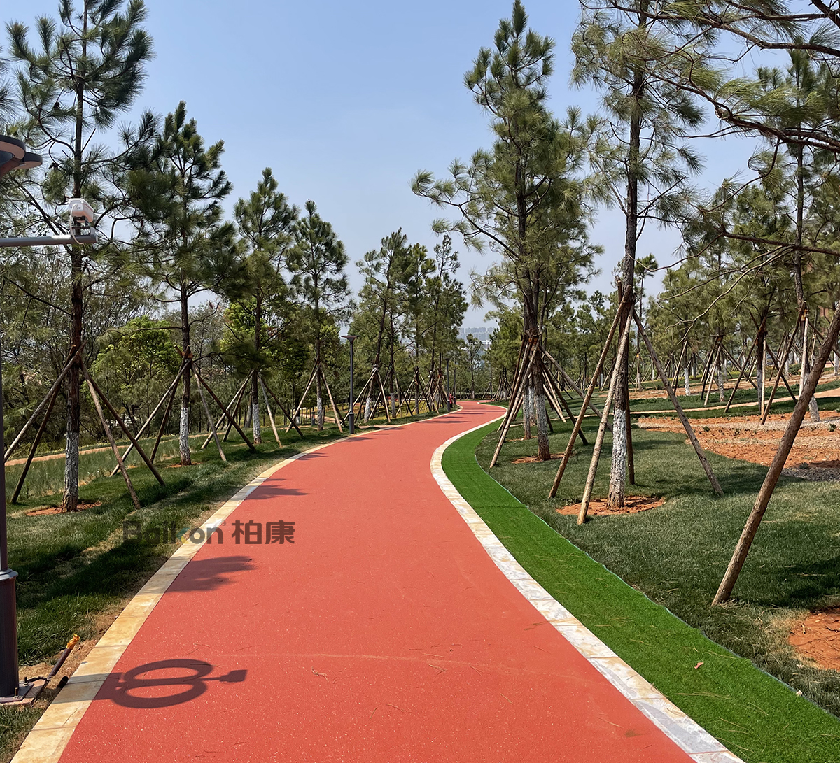云南省云南大学全塑自结纹塑胶跑道