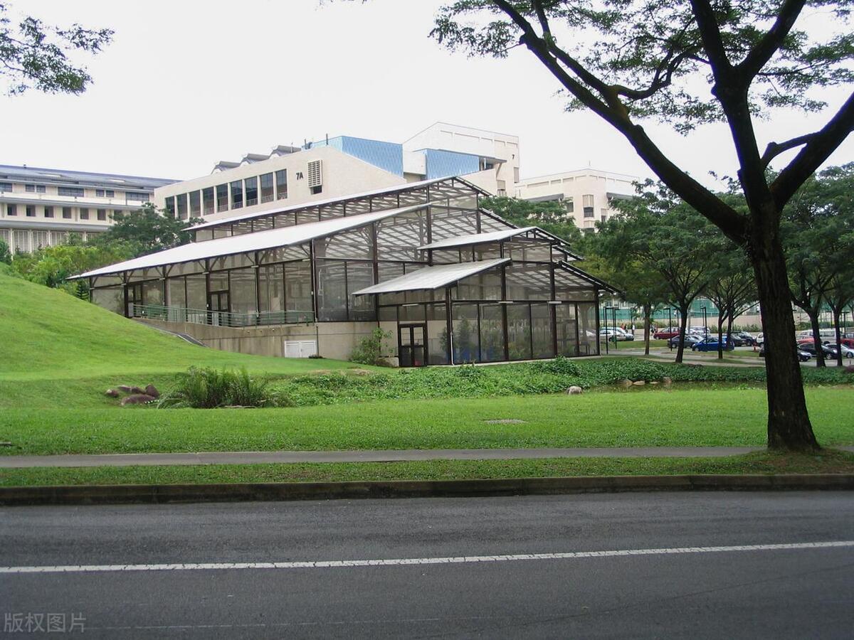 在新加坡打工的人现在可以回国吗,2021新加坡劳务打工的真实收入