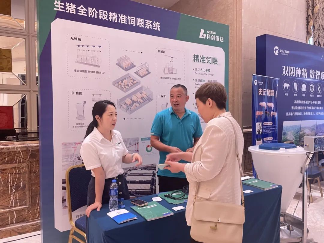 生猪精准饲喂与管理,生猪养猪技术