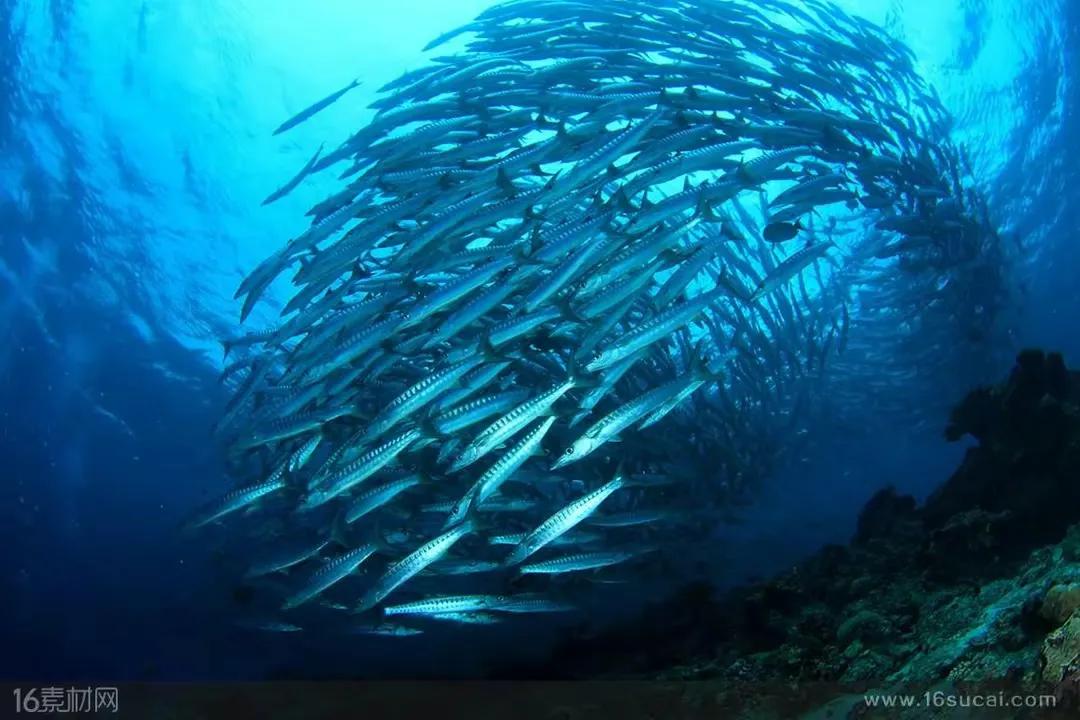 日本群岛附近的世界四大渔场之一,我国四大渔场和四大盐场分布图