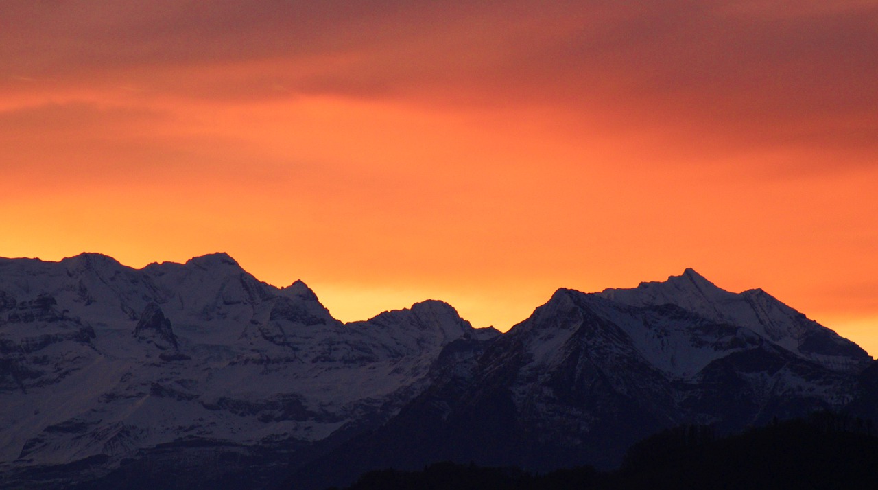 告诉孩子去别人家做客的八个原则,关系再好去别人家还是要提前告知