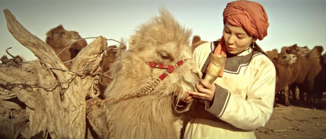 中外情感片推新来袭,人兽大战爱意浓郁?哭声大到邻居家直敲墙