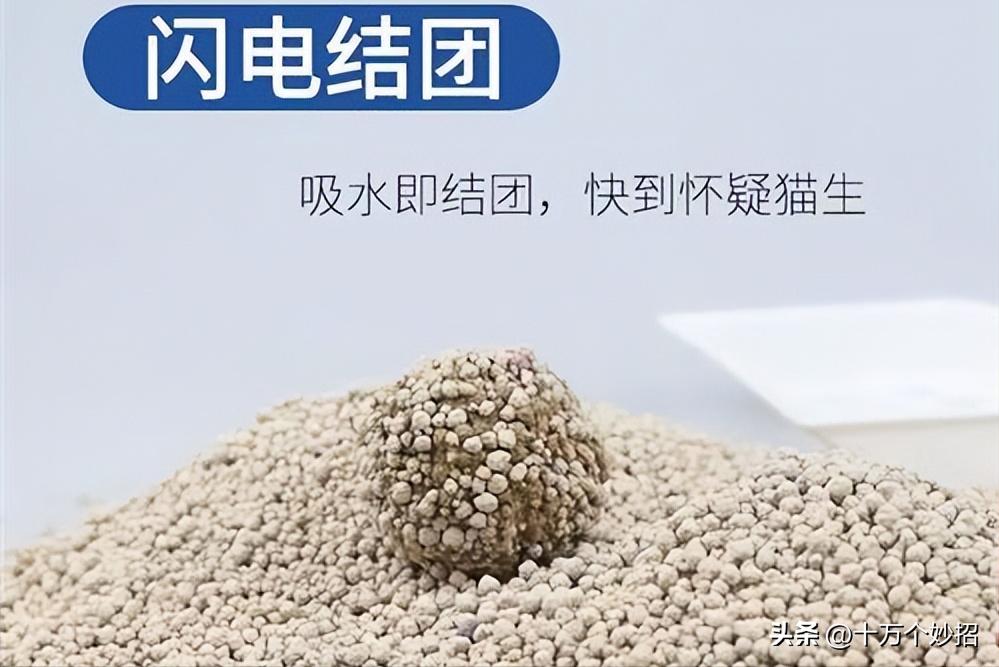 猫咪误食猫砂有怎样的后果 (猫咪用的猫砂有毒吗)