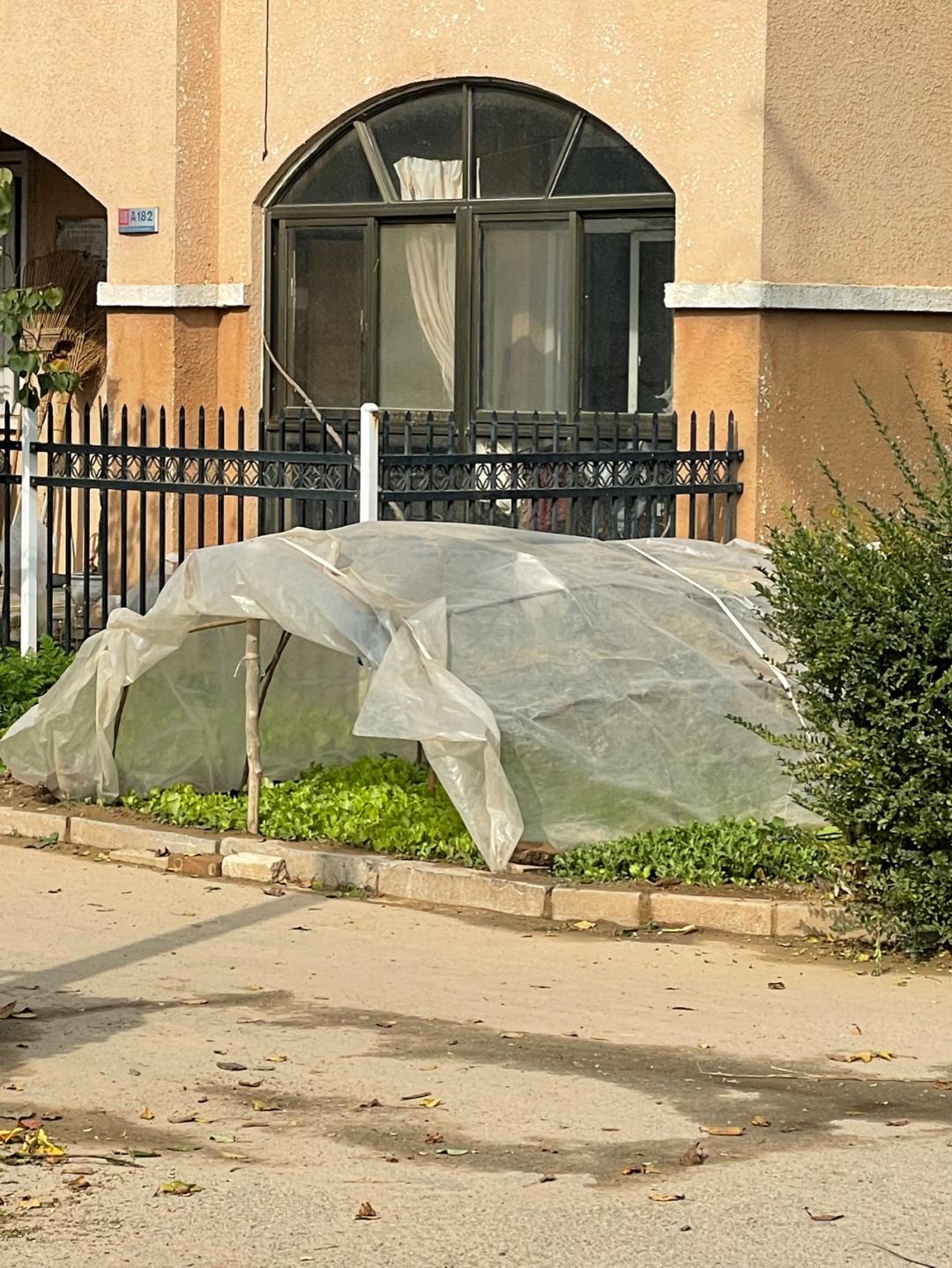 环渤海湾骑行记,环山东骑行日记青岛平度市