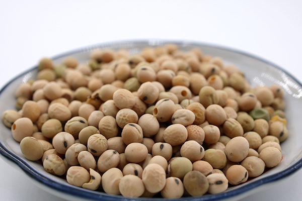 尿酸偏高者可以食豆类食物吗,尿酸偏高可以吃杂粮和豆类吗