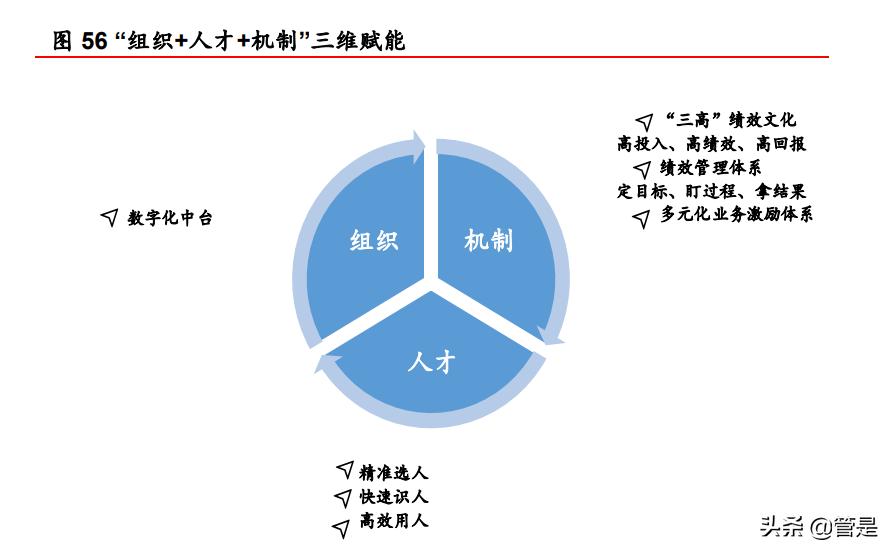 珀莱雅企业的战略管理分析,珀莱雅产品组合策略