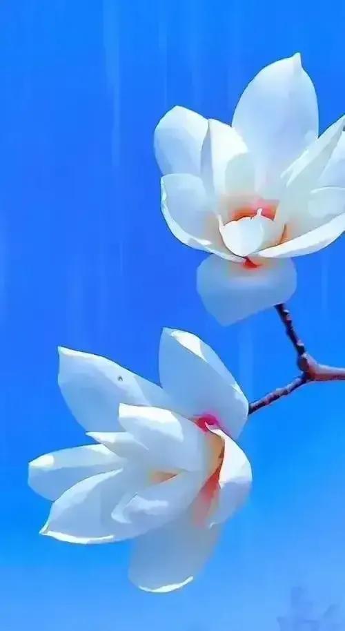 2023年02月27日星期一农历:癸卯年【兔年】二月初八八九第5天