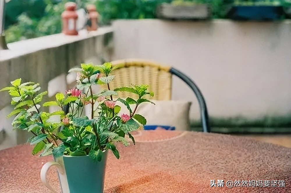 31岁宝妈回归职场 (全职宝妈辞职一年后回到职场)