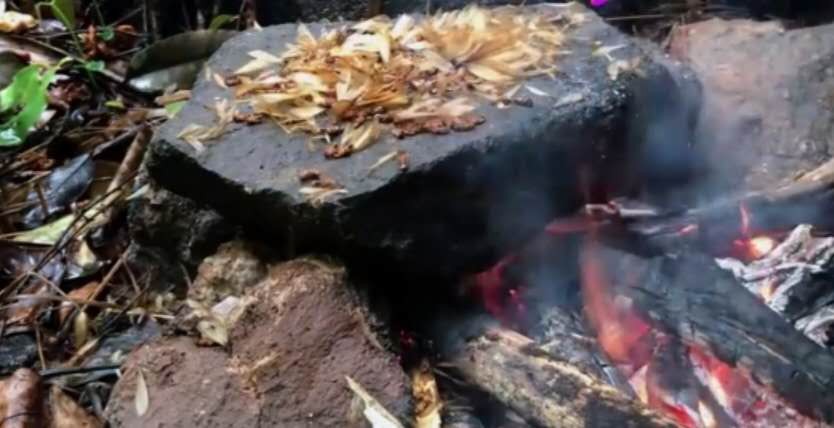 丛林探险美食大全,真正的丛林美食有哪些