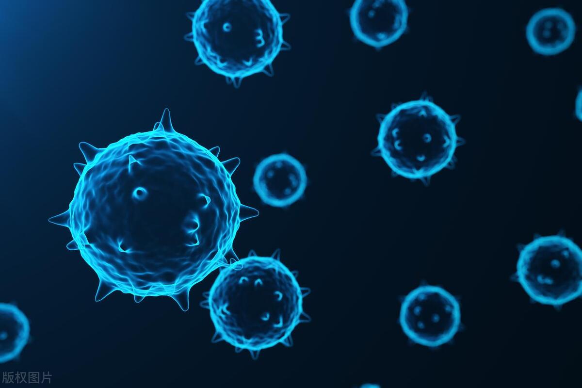 什么是老年性阴道炎症状有哪些,老年性阴道炎有什么症状怎么预防