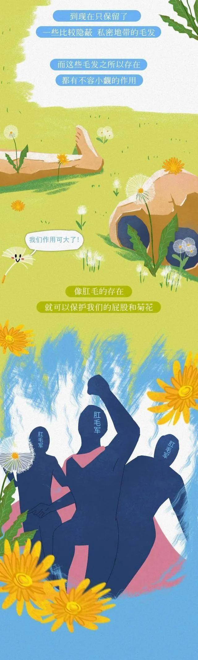 为什么肛门周围也会长“毛”？如果刮掉会怎样？网友：看完明白了