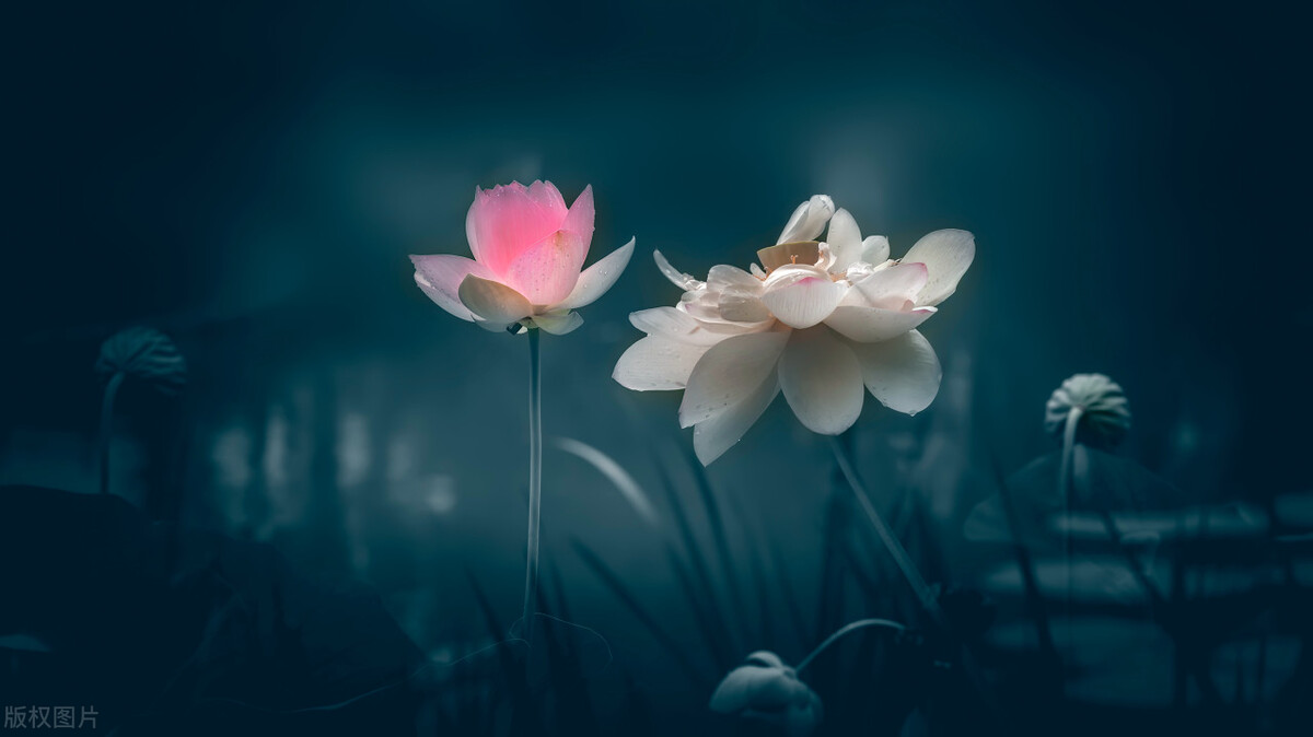 不同月份有什么别称,一到十二月每个月的别称