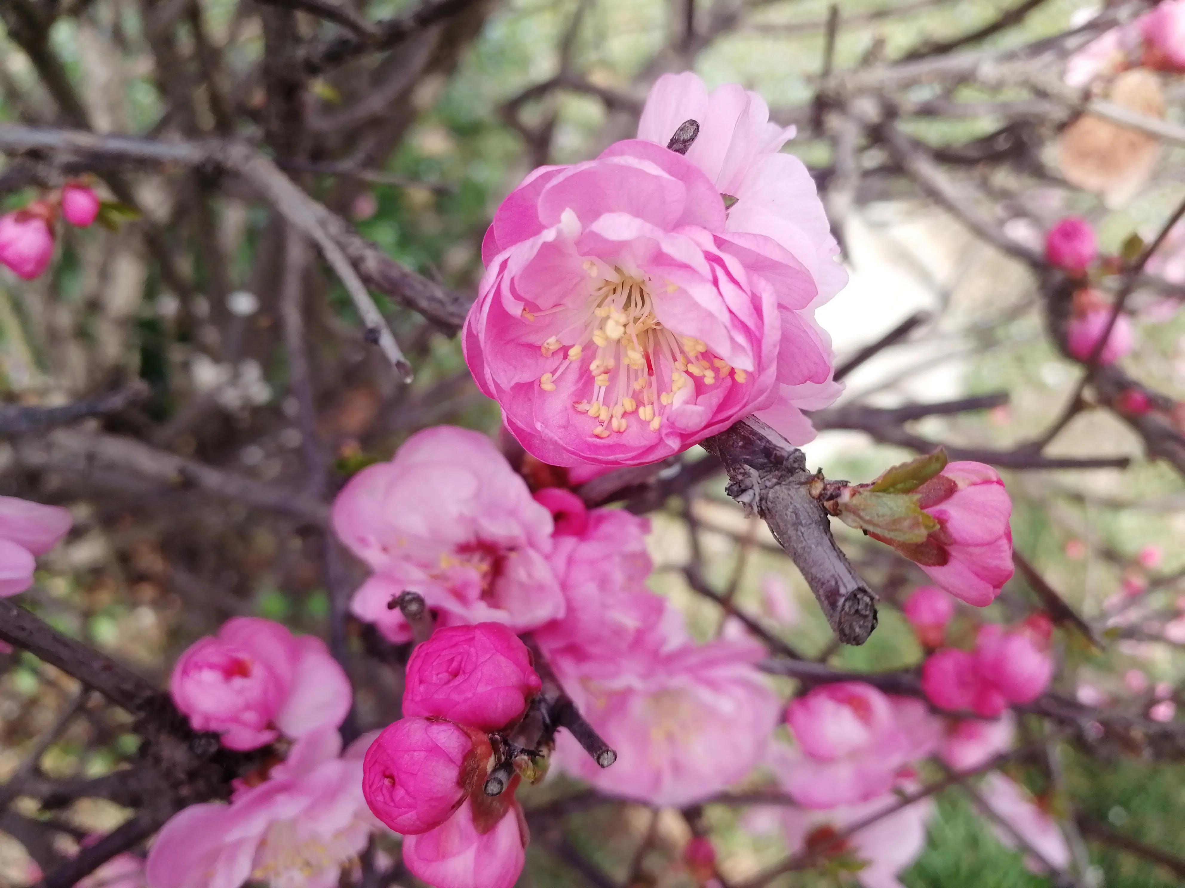 科二考试模拟三圈用多长时间,科二模拟练三天