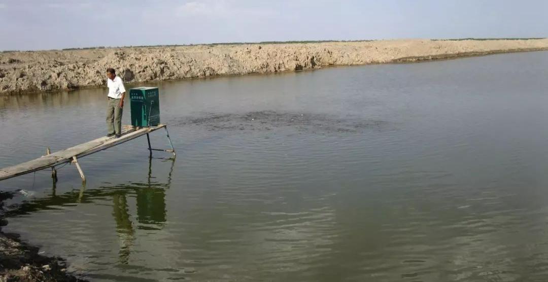 鱼进食过多消化不良怎么办,鱼吃食胀胃怎么办