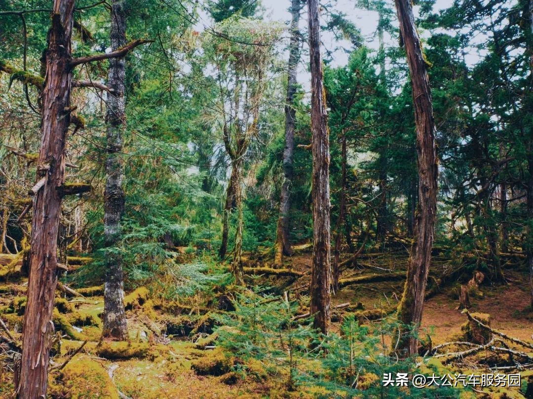 中国人间仙境惊艳世界,最值得打卡的五个绝美仙境