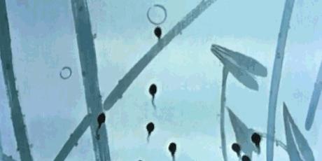 憋尿会尿血是什么问题,憋尿尿血是什么导致的