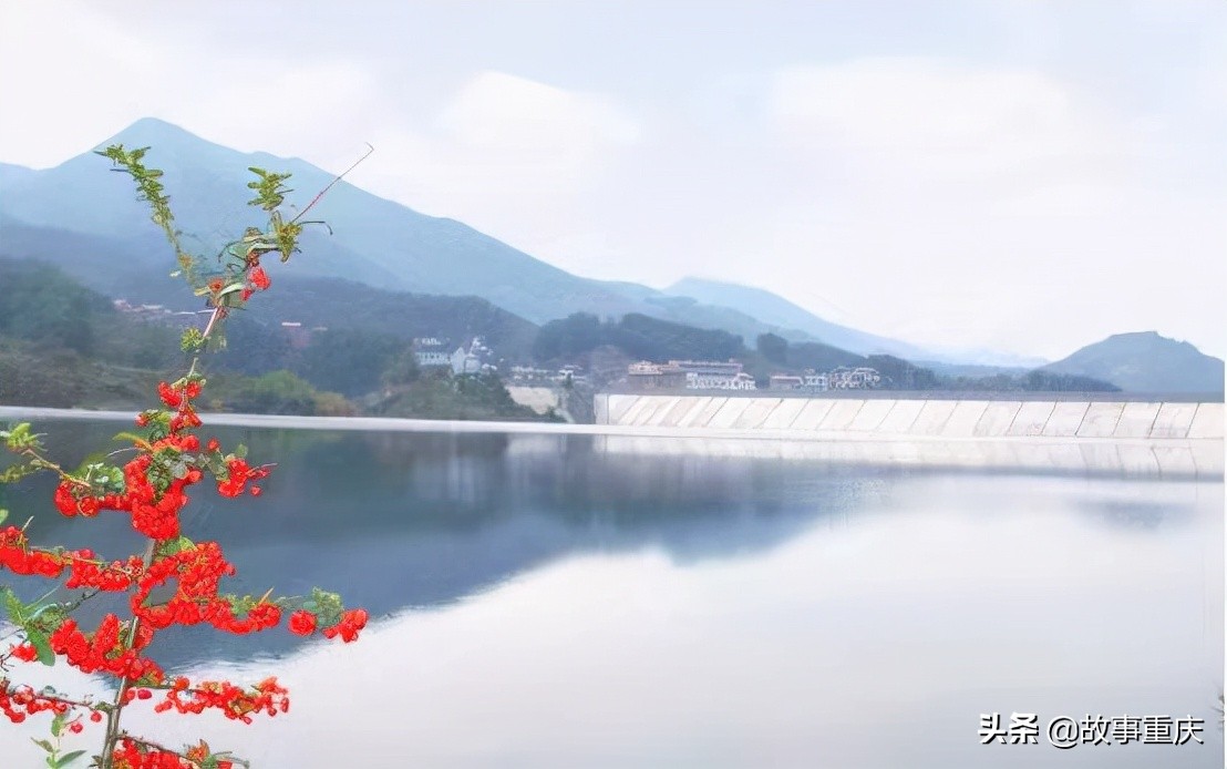 “两江渔业”巨鱼起捕拍卖背后的山城水库渔业之兴