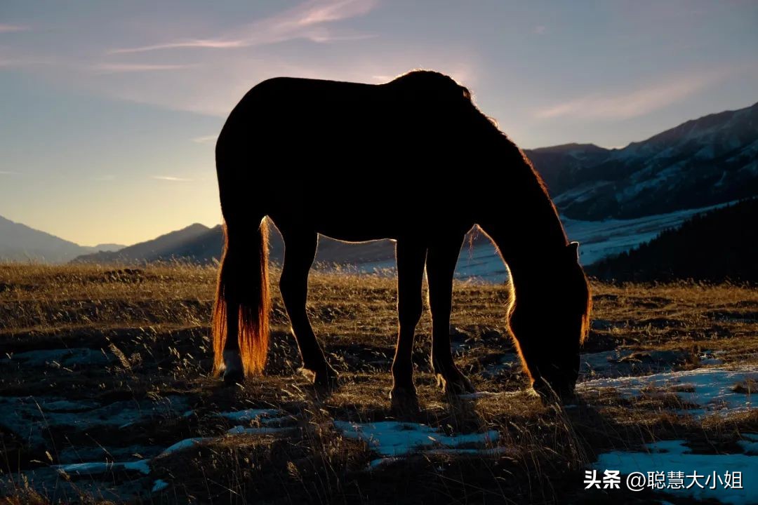 *疆新**，美到封神！配得上“她”的民宿有多少？
