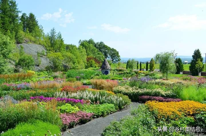 北海道上野农场,日本北海道上野农场