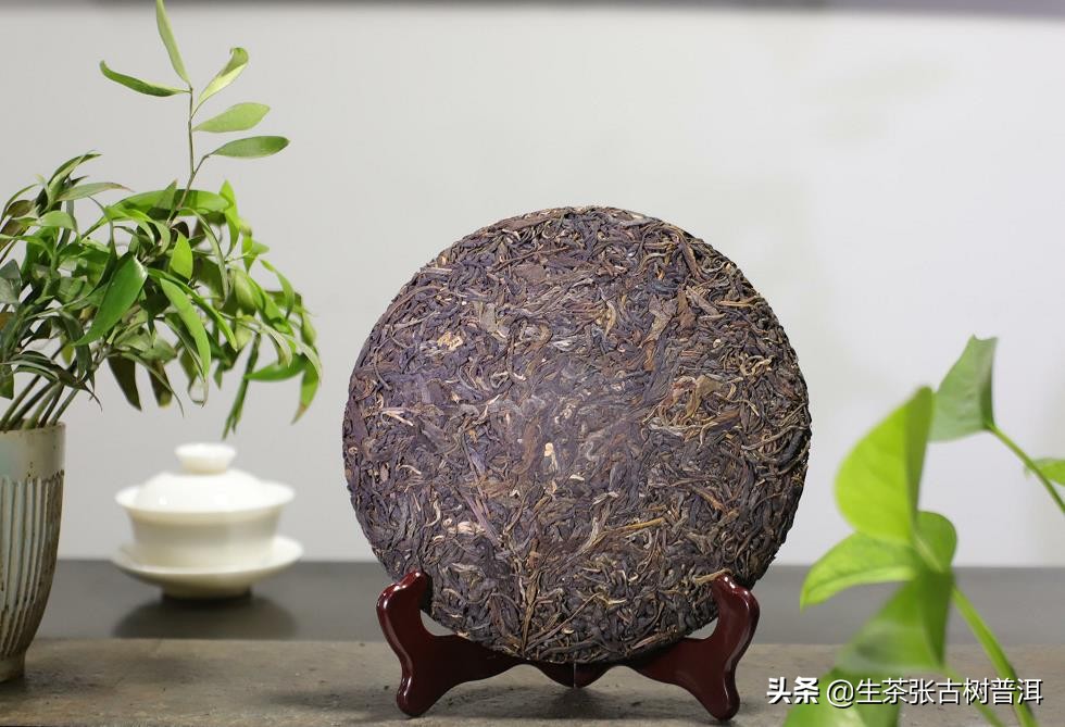 小白入门如何选茶,新手小白买熟茶买什么好