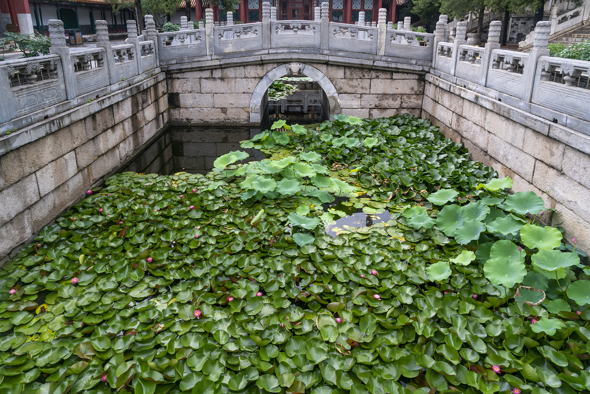 漫步北京颐和园,走颐和园长廊寓意