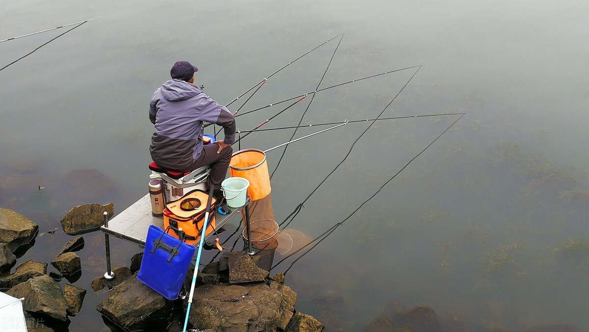 泥鳅钓鱼真的可以钓很多吗,泥鳅钓鱼最新规定