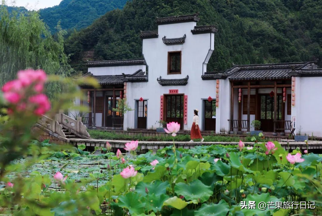 浙江的“三亚”杭州千岛湖怎么玩?看看这篇四天三晚自由行攻略