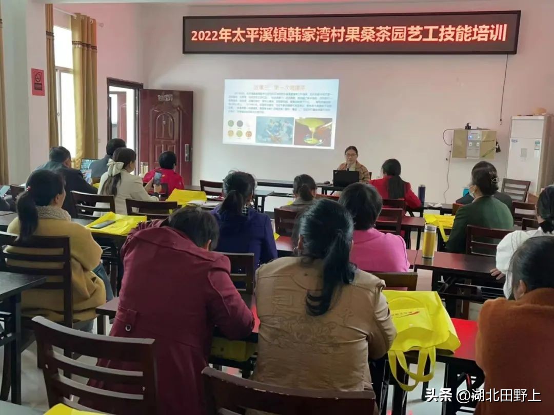 陆羽茶产业,陆羽文化茶产业