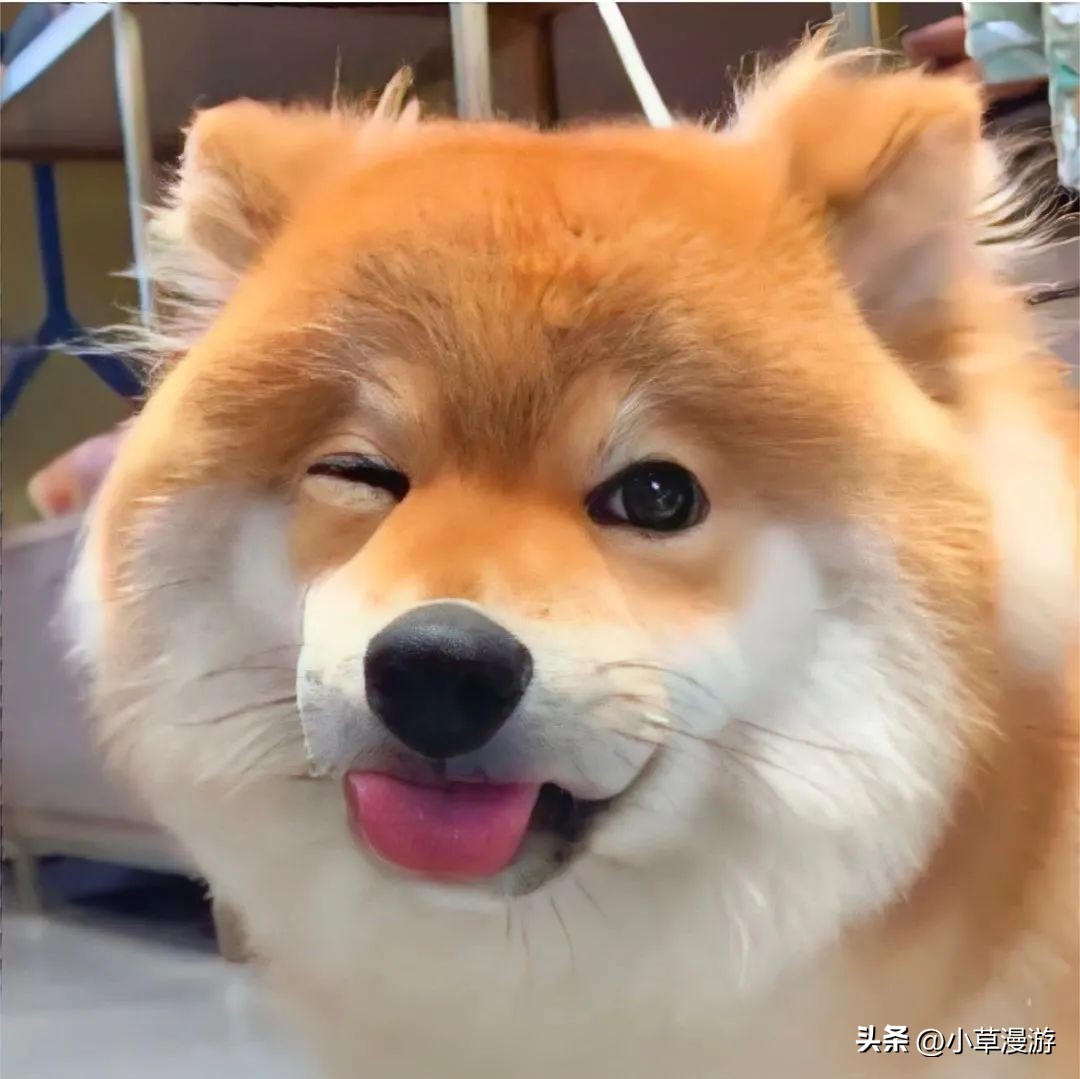 最美的旅行目的地推荐,国内最适合情侣旅行的十个目的地