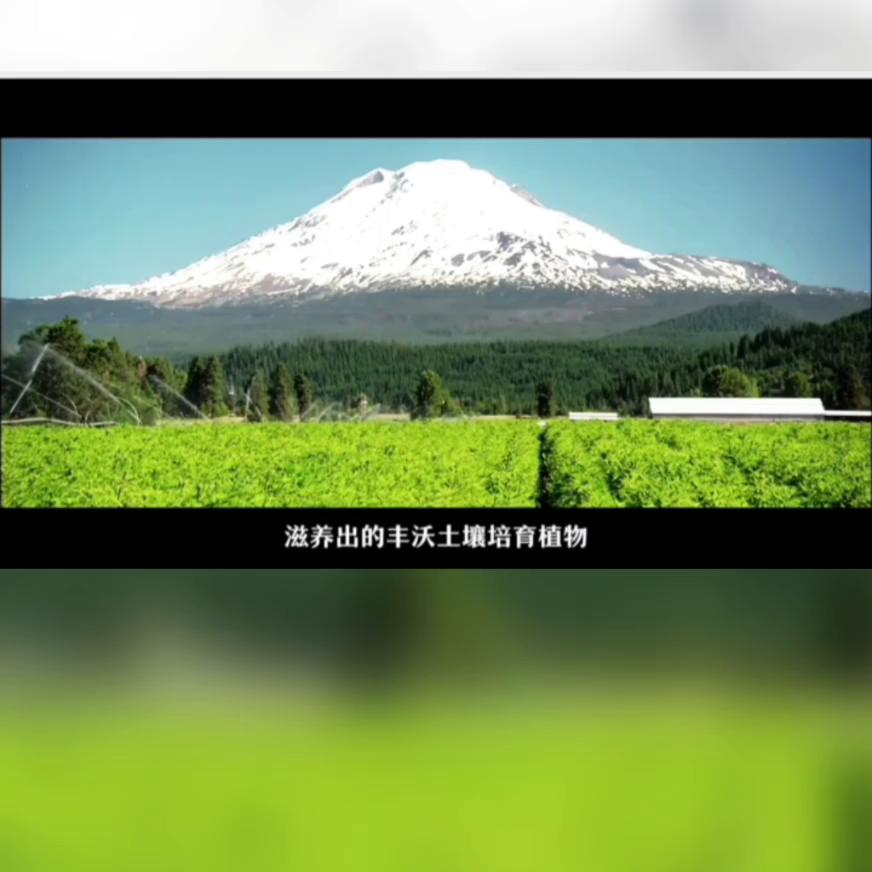 零碳好蛋白，自然更健康！安利踏上碳中和之路~承诺企业碳...