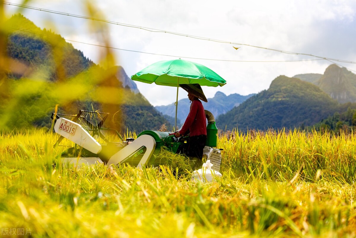 久保田水稻联合收割机最新产品,最好的大型水稻联合收割机