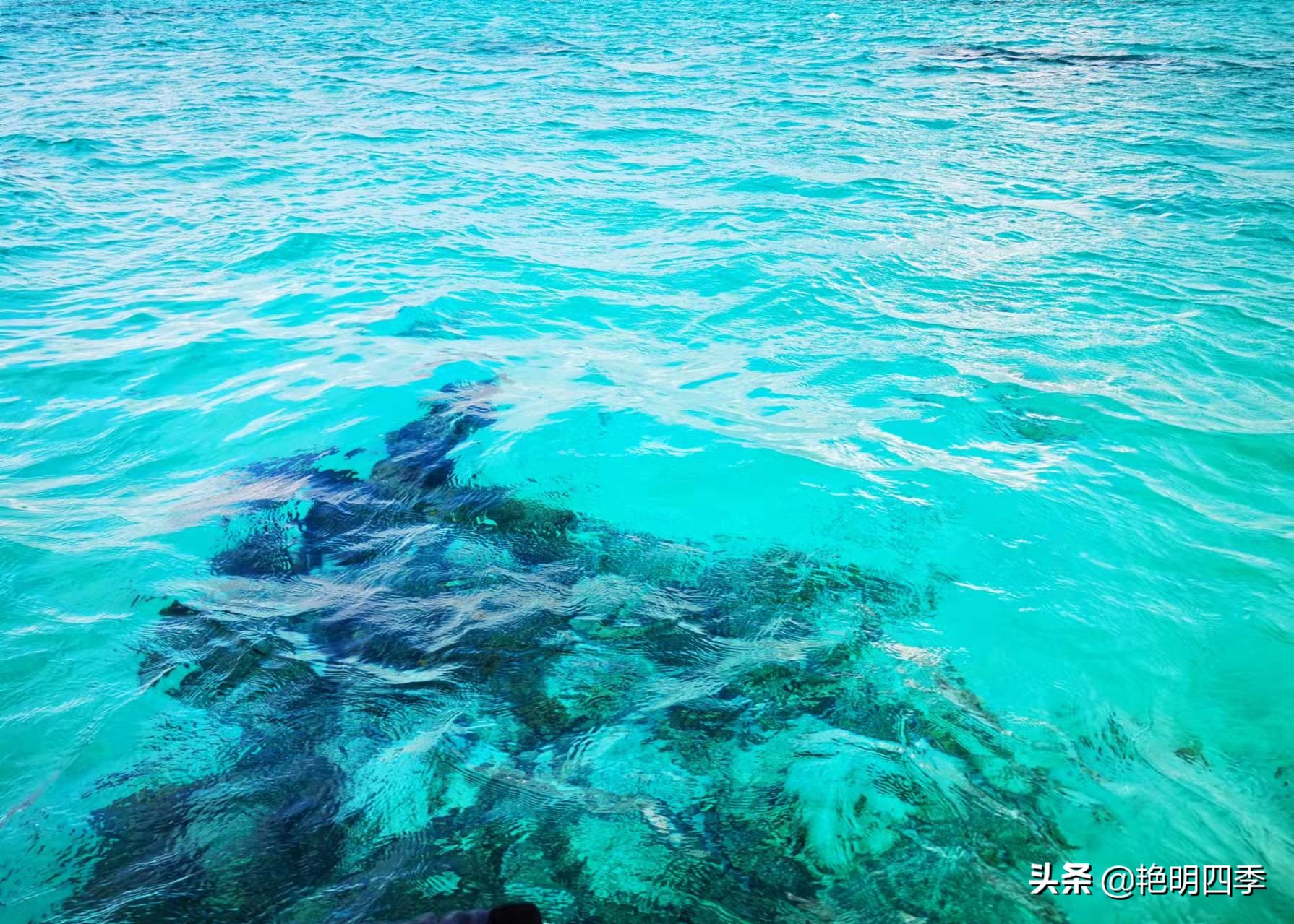 西沙群岛南海之梦游轮,西沙群岛南海之梦游轮视频