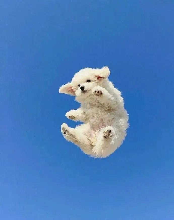 近期敲可爱的微信头像大合集,微信头像真人孩子可爱超萌可保存