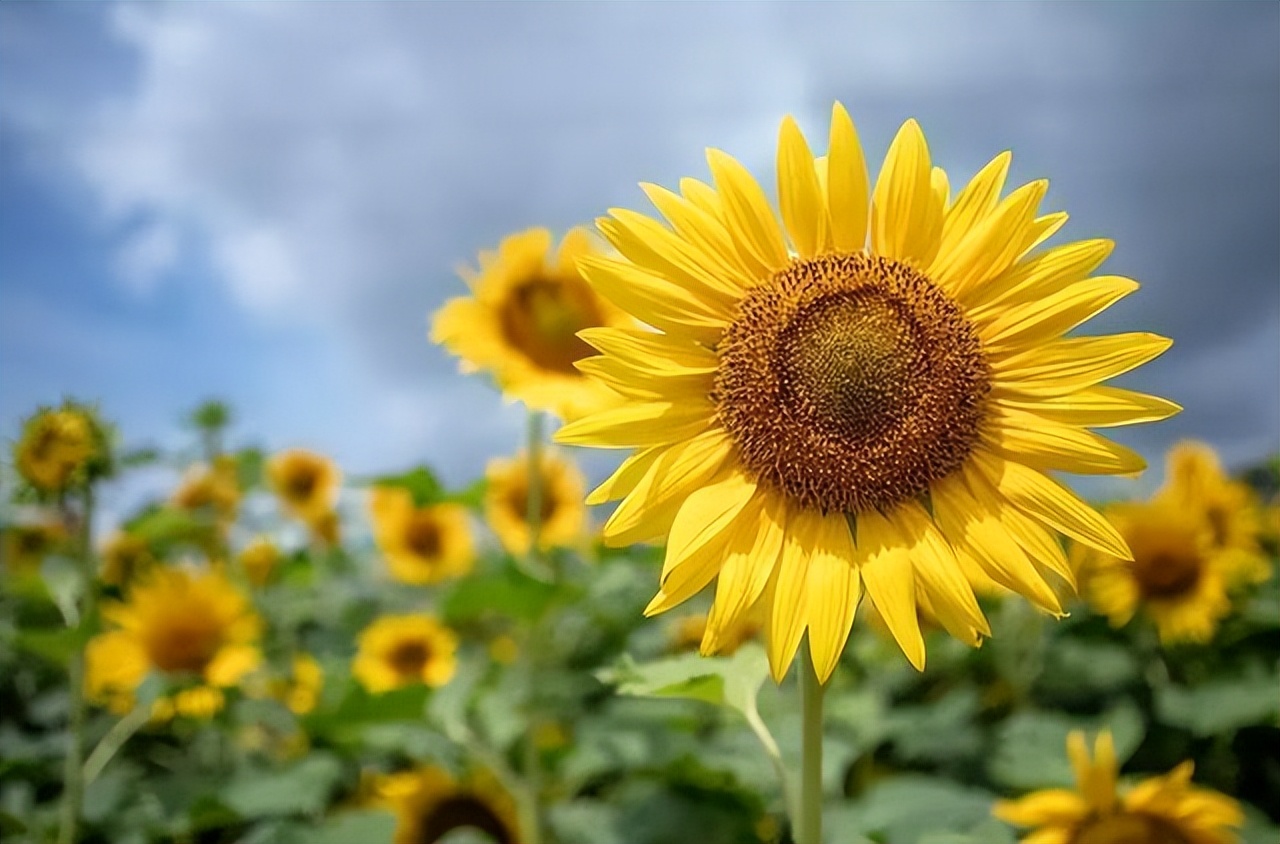 减肥到了瓶颈期怎么度过瘦得快,10个帮你维持易瘦体质的减肥方法