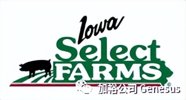 世界十大饲料企业最新排名,世界十大牧业集团排名